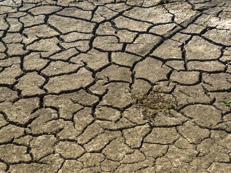 Las consecuencias de la sequía en el precio de la energía