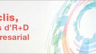 Nuclis de I+D empresarial
