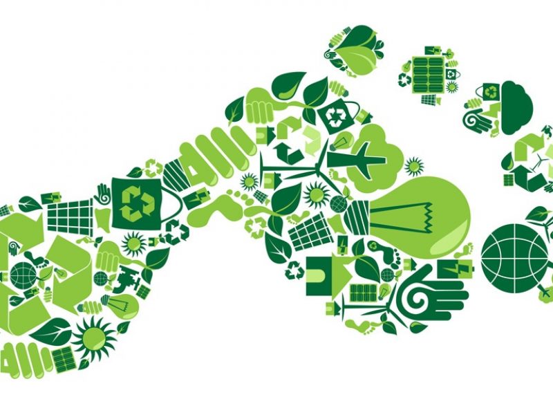 Subvenciones para fomentar la realización de estudios en materia de huella de carbono de productos o servicios