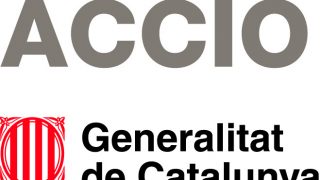 Ayuda Cupones Innovación 2019
