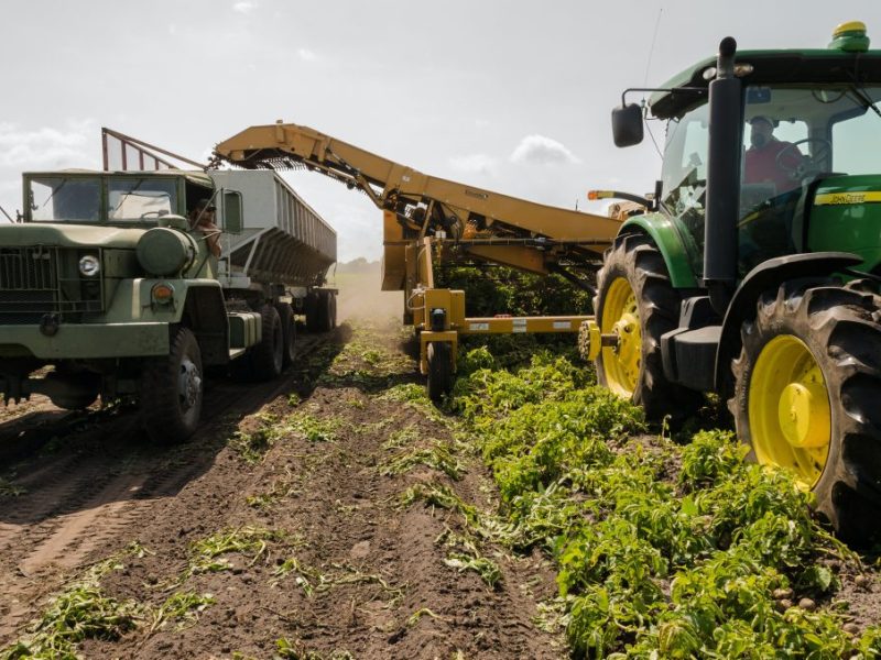 Ayudas a la innovación (AEI-Agri)