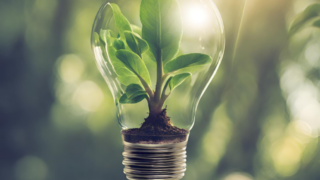 30 medidas estandarizadas para conseguir eficiencia energética y CAE