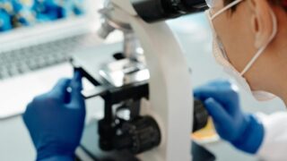 Proyectos de inversión empresarial que fomenten la I+D+i en Teruel
