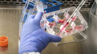 Misiones Ciencia e Innovación 2025