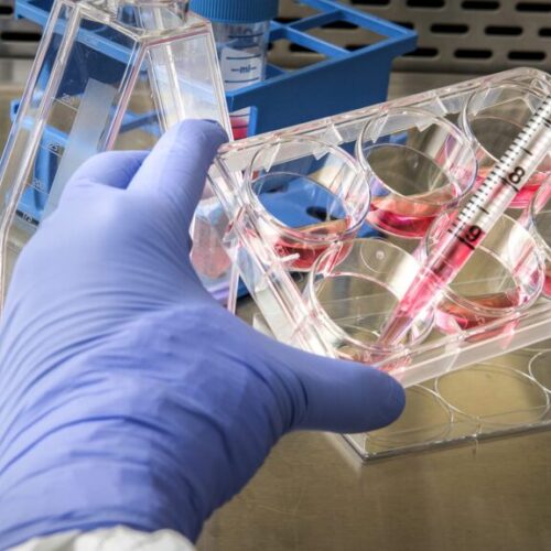 Misiones Ciencia e Innovación 2025