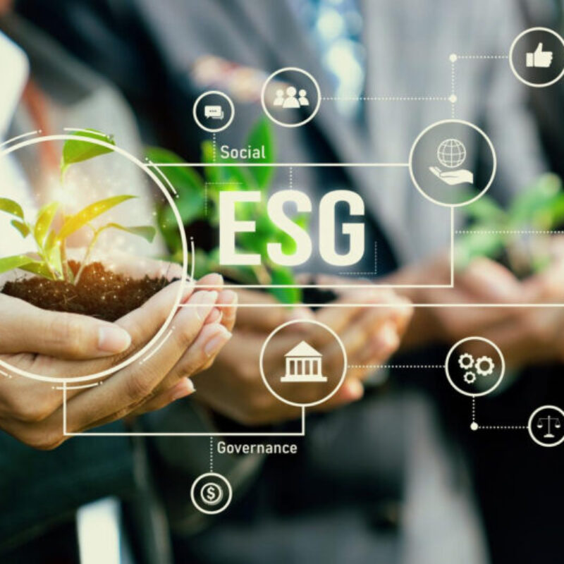 Por qué los criterios ESG en las empresas son cada vez más decisivos para acceder a financiación