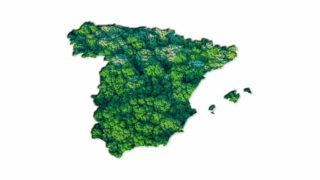 Mapa del mercado CAEs: dónde se están generando más oportunidades por comunidad autónoma