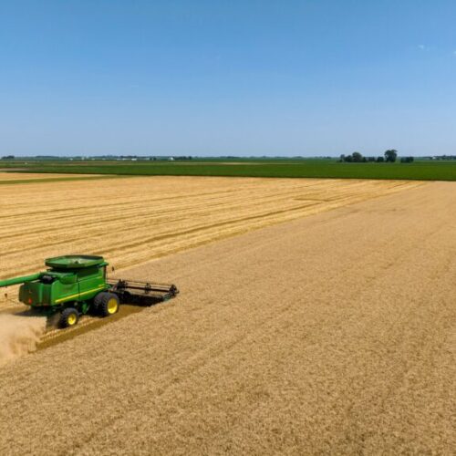 Ayudas para inversiones agroalimentarias y forestales en Asturias