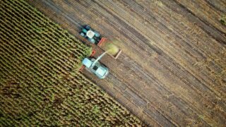 Ayudas a inversiones en transformación, comercialización o desarrollo de productos agroalimentarios en la Comunidad Valenciana