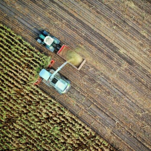 Ayudas a inversiones en transformación, comercialización o desarrollo de productos agroalimentarios en la Comunidad Valenciana