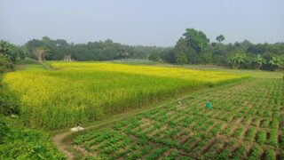 Subvenciones para inversiones agroalimentarias en Andalucía