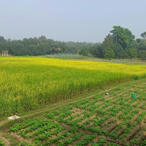 Subvenciones para inversiones agroalimentarias en Andalucía