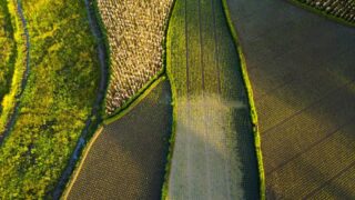 Ayudas a inversiones productivas en explotaciones agrarias en Cantabria 2026