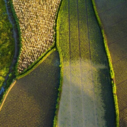 Ayudas a inversiones productivas en explotaciones agrarias en Cantabria 2026