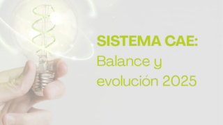 Sistema CAE: balance y evolución del mercado en 2025