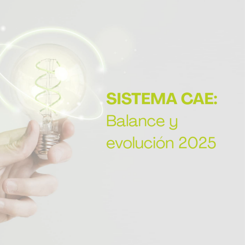 Sistema CAE: balance y evolución del mercado en 2025
