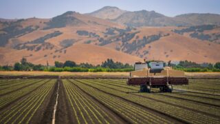 Ayudas a la inversión en transformación y comercialización de productos agrarios 2026