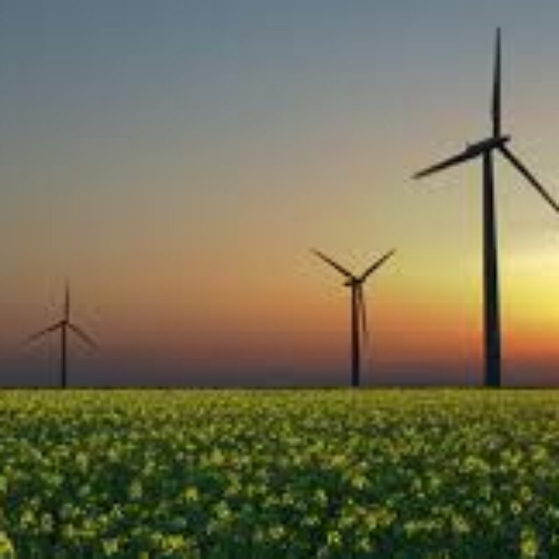 Transición energética 2026: cuando la eficiencia impulsa la competitividad industrial y el bienestar social