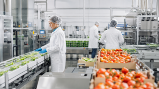Ayudas PEPAC para transformación agroalimentaria y tecnologías forestales