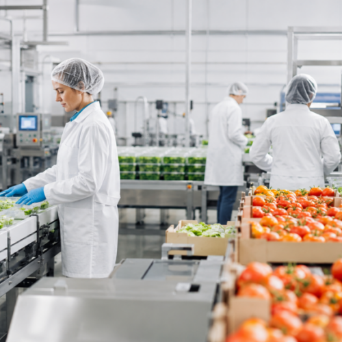 Ayudas PEPAC para transformación agroalimentaria y tecnologías forestales