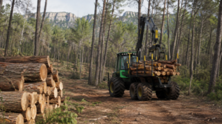 Ayudas intervenciones forestales PEPAC Comunidad Valenciana 2026
