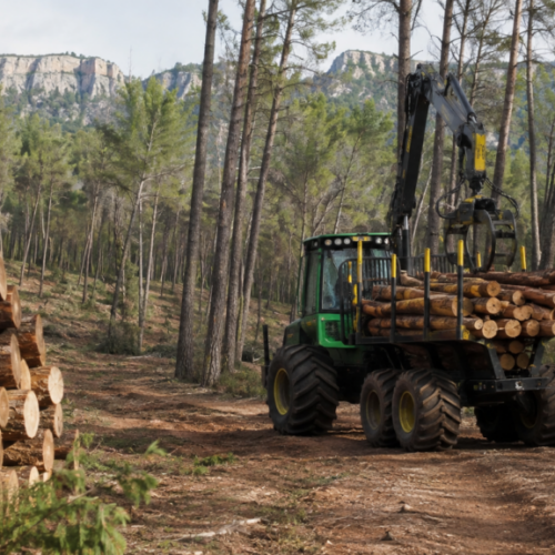 Ayudas intervenciones forestales PEPAC Comunidad Valenciana 2026